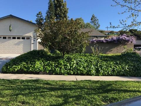 242 E J St, Chula Vista, CA 91910 photo 17