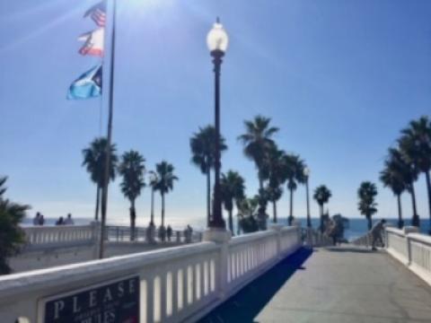 313 Riverview Way, Oceanside, CA 92057 photo 21