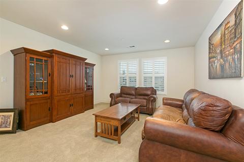 11018 Rose Meadow Rd, Lakeside, CA 92040 photo 11