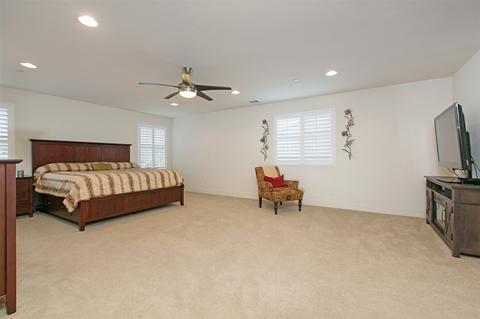 11018 Rose Meadow Rd, Lakeside, CA 92040 photo 12