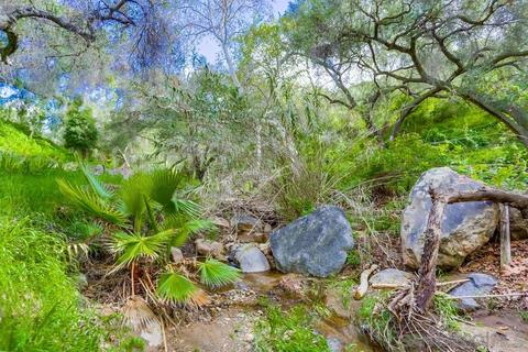 13745 Jamul Dr, Jamul, CA 91935 photo 11