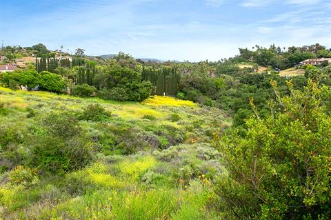 1460 Serene Rd, Oceanside, CA 92057 photo 24