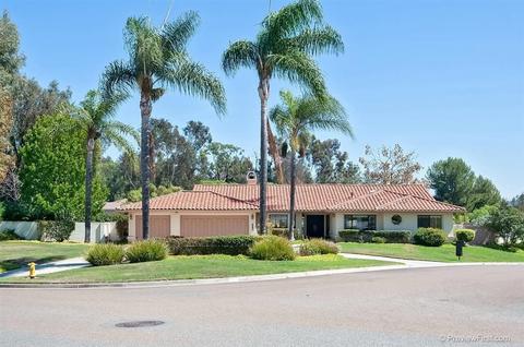 1019 Summer Holly Ln, Encinitas, CA 92024 photo 2