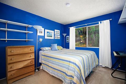 907 Sacramento Ave, Spring Valley, CA 91977 photo 10