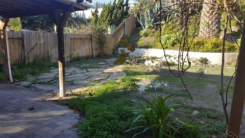 724 Snapdragon St, Encinitas, CA 92024 photo 7