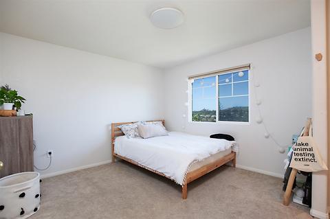 4111 Massachusetts 11, La Mesa, CA 91941 photo 13