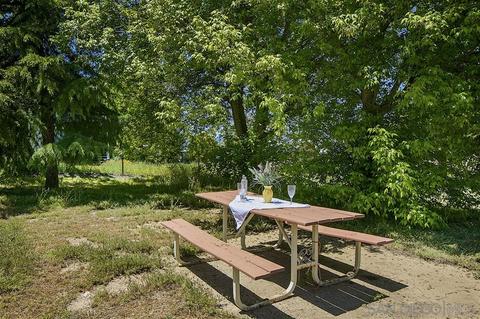 30037 Canvasback, Campo, CA 91906 photo 11