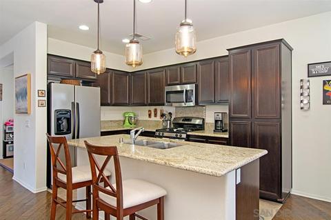 1727 Wolf Canyon Loop, Chula Vista, CA 91913 photo 8