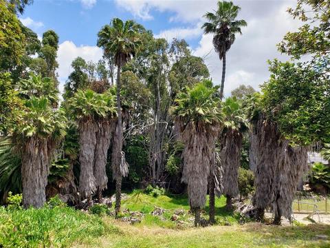 3144 Morningside Dr, Oceanside, CA 92056 photo 25