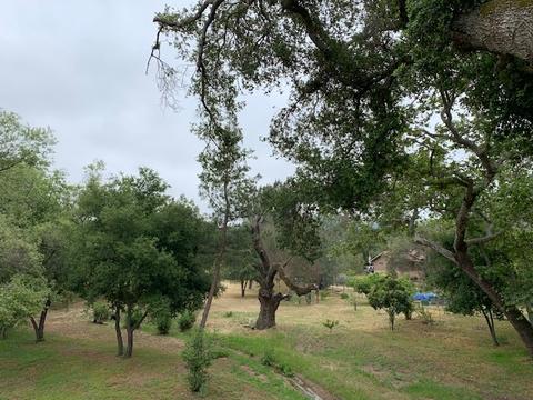 3860 Prairie Dr, Jamul, CA 91935 photo 4
