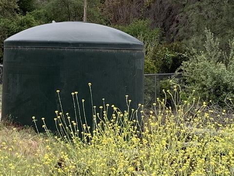 3860 Prairie Dr, Jamul, CA 91935 photo 25