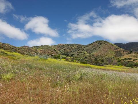 40789 Via De La Roca, Fallbrook, CA 92028 photo 22