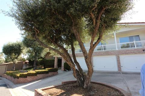 8722 Mariposa St, La Mesa, CA 91941 photo 2