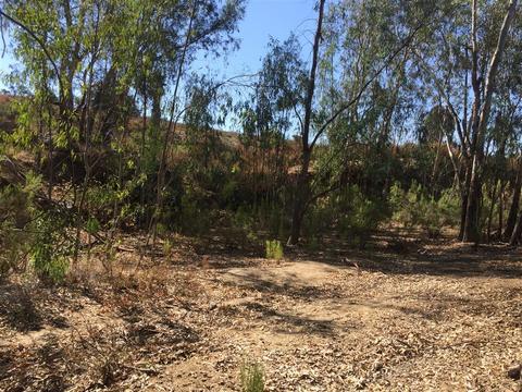 139 Burma Rd #244-110-52-00, Ramona, CA 92065 photo 3