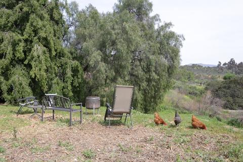 9867 Dunbar Ln, El Cajon, CA 92021 photo 21