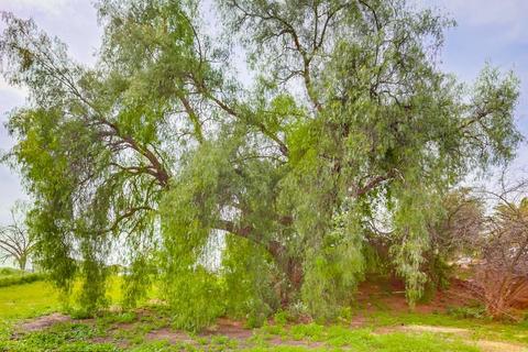 9867 Dunbar Ln, El Cajon, CA 92021 photo 20