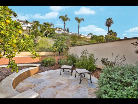 1537 Bonnie Bluff Ct, Encinitas, CA 92024 photo 22