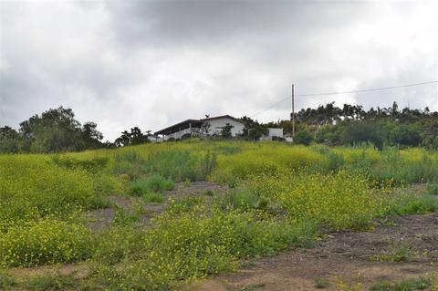 1010 Ranger Rd, Fallbrook, CA 92028 photo 8