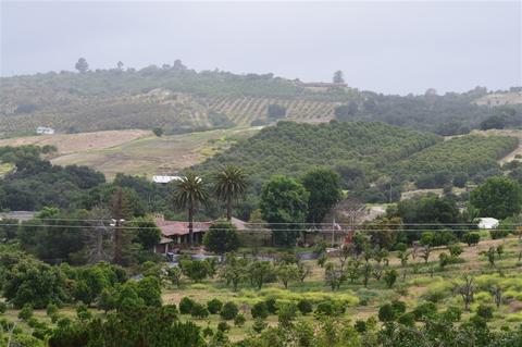 1010 Ranger Rd, Fallbrook, CA 92028 photo 10