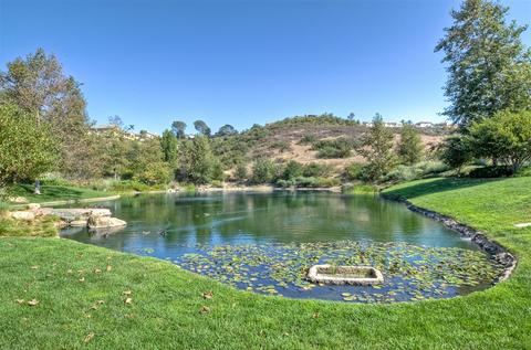 6815 Korite, Carlsbad, CA 92009 photo 22