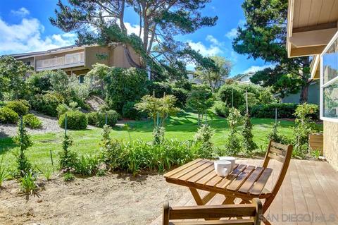 5662 Caminito Isla, La Jolla, CA 92037 photo 6