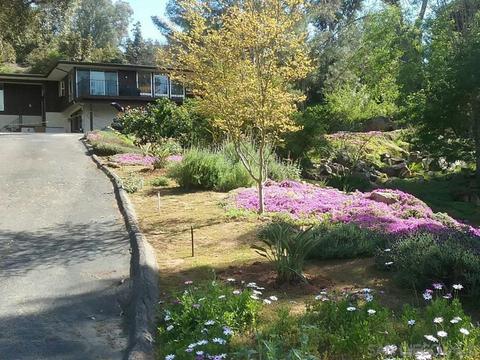 13373 Fallen Leaf Rd, Poway, CA 92064 photo 3