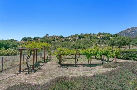 16867 Quail Xing, Ramona, CA 92065 photo 20