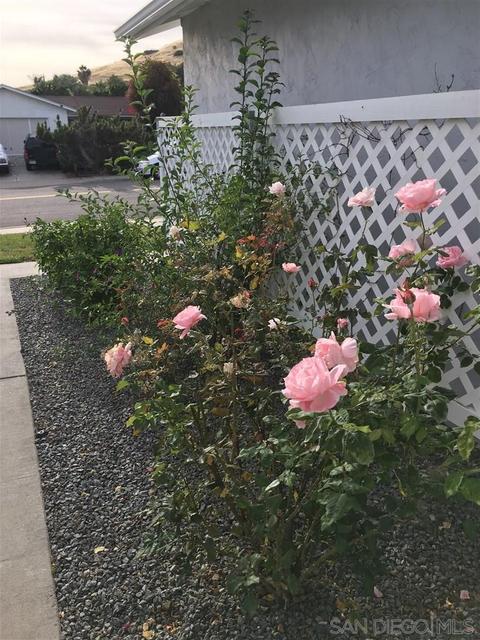 9845 Halberns Blvd, Santee, CA 92071 photo 22