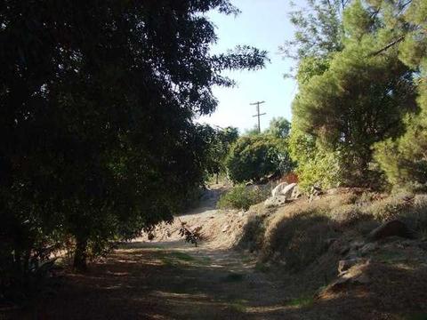 13344 Lakeshore Dr, Lakeside, CA 92040 photo 3