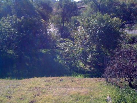 13344 Lakeshore Dr, Lakeside, CA 92040 photo 10