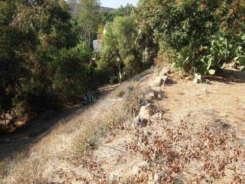 13344 Lakeshore Dr, Lakeside, CA 92040 photo 4