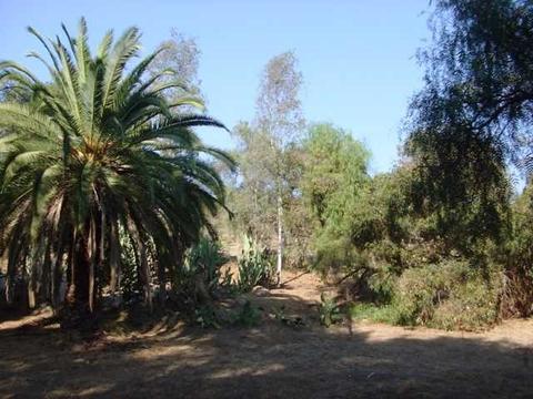 13344 Lakeshore Dr, Lakeside, CA 92040 photo 6