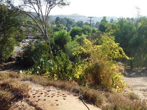 13344 Lakeshore Dr, Lakeside, CA 92040 photo 8