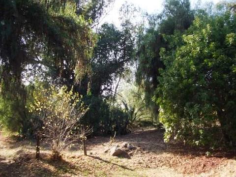 13344 Lakeshore Dr, Lakeside, CA 92040 photo 2
