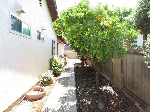 1009 Torole Cir, Vista, CA 92084 photo 17