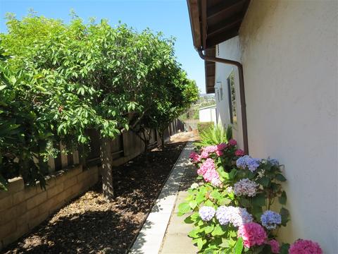 1009 Torole Cir, Vista, CA 92084 photo 20