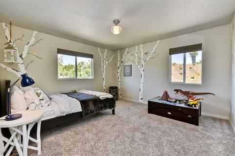 3750 Alta Vista Dr, Fallbrook, CA 92028 photo 16