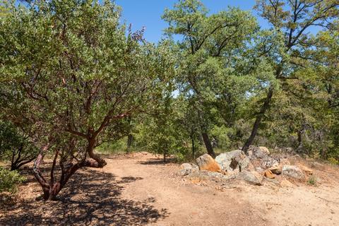 3120 Williams Ranch Rd, Santa Ysabel, CA 92070 photo 18