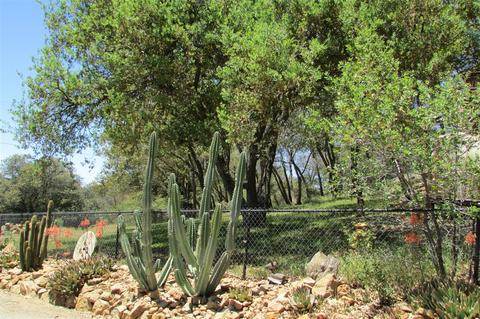 3120 Williams Ranch Rd, Santa Ysabel, CA 92070 photo 20