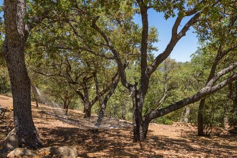 3120 Williams Ranch Rd, Santa Ysabel, CA 92070 photo 16