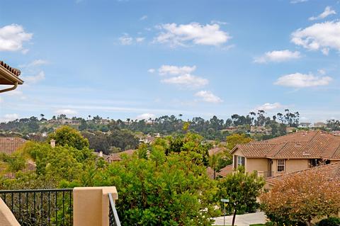 7037 Crane Ct, Carlsbad, CA 92011 photo 23