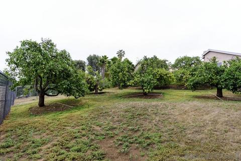 16520 Calle Ana, Poway, CA 92064 photo 25