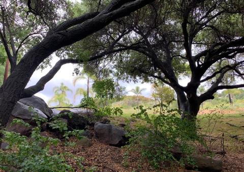 1808 Camino Rainbow, Fallbrook, CA 92028 photo 20