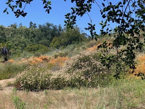 1808 Camino Rainbow, Fallbrook, CA 92028 photo 21