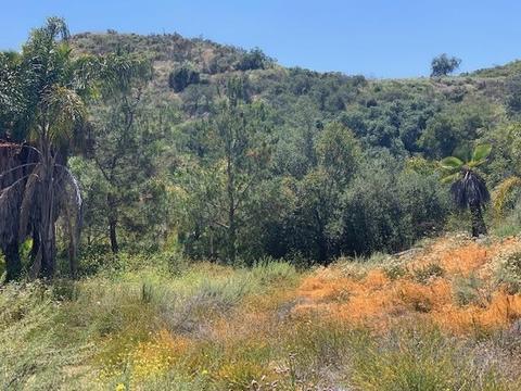 1808 Camino Rainbow, Fallbrook, CA 92028 photo 19