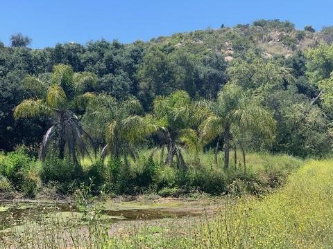 1808 Camino Rainbow, Fallbrook, CA 92028 photo 14