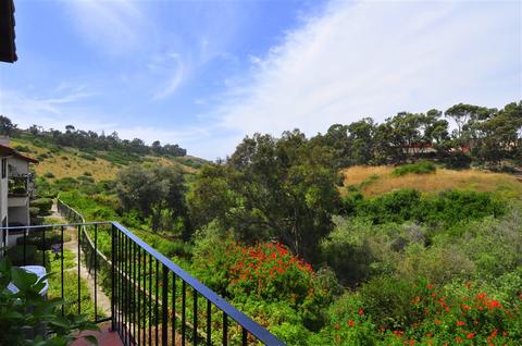 2826 Winthrop Ave, Carlsbad, CA 92010 photo 23