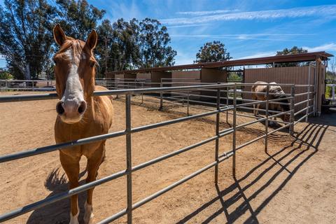 801 Steffy, Ramona, CA 92065 photo 3