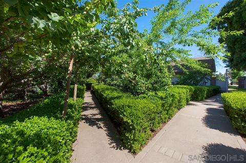 2912 Summit Dr, Escondido, CA 92025 photo 22