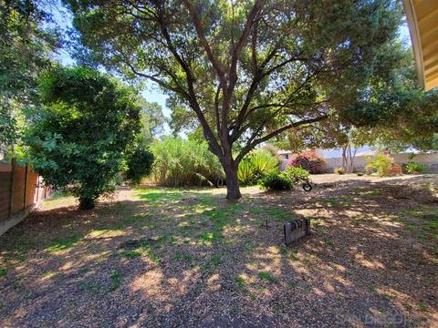 4449 Maple Ave, La Mesa, CA 91941 photo 5